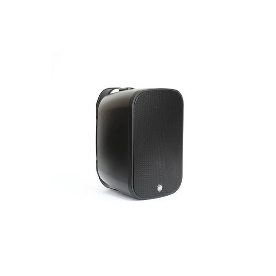 AURASONICS DENSE-6T Акустическая система, настенная, IP66, 6,5"+1", НЧ-резонатор, 8Ом/80Вт Prog, 70/100В 40/20/10/5 Вт, 90-20000Гц