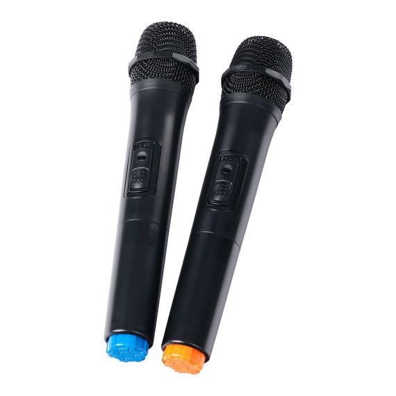 LEEM PR-12HR Акустическая система с 2 микрофонами, аккумуляторная, 120Вт