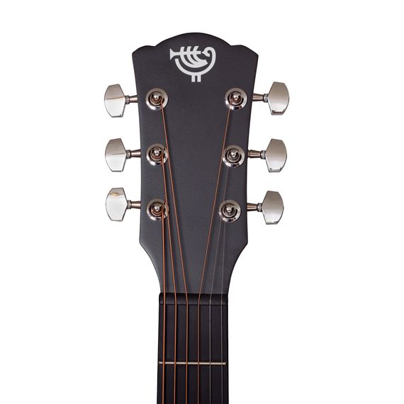 ROCKDALE Aurora D1 BK Акустическая гитара. Форма корпуса Dreadnought. Цвет полупрозрачный черный.