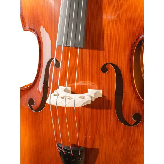 HORA B100-3/4 Rhapsody Student Контрабас студенческий, изображение 4
