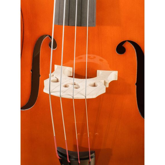 HORA B120-4/4 Student laminated top Контрабас студенческий