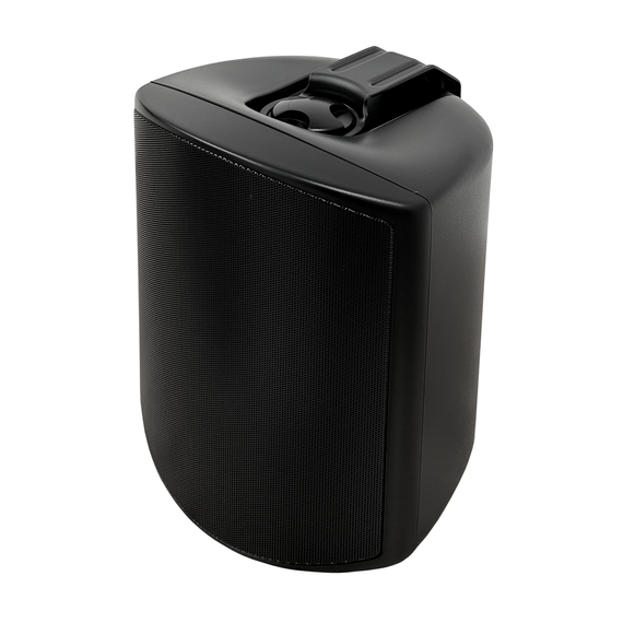 SVS Audiotechnik WSP-6B Pro Всепогодная трансляционная акустическая система, изображение 2