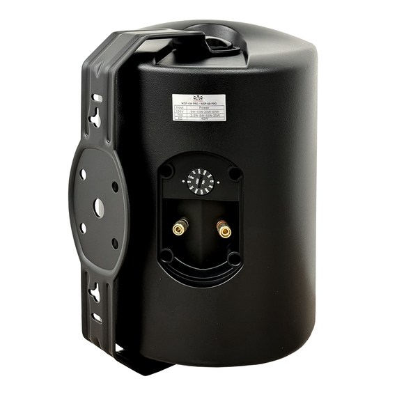 SVS Audiotechnik WSP-6B Pro Всепогодная трансляционная акустическая система, изображение 3