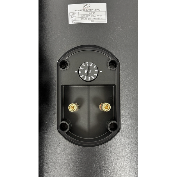 SVS Audiotechnik WSP-6B Pro Всепогодная трансляционная акустическая система, изображение 4