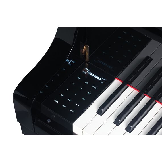 MEDELI GP805 Цифровой рояль, изображение 3