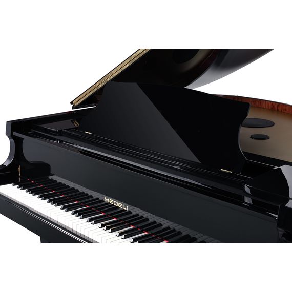 MEDELI GP805 Цифровой рояль, изображение 2