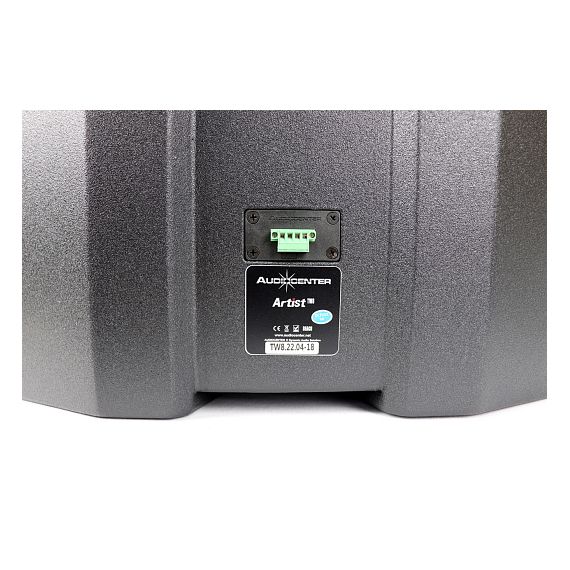 ​AUDIOCENTER TW8 Artist TW8 сабвуфер 8", 8 Ом, RMS 250Вт