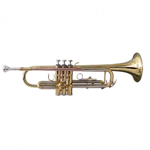 SOUNDSATION STPGD-10 (S624S) Труба Bb