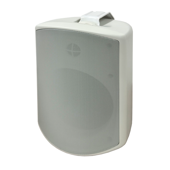 SVS Audiotechnik WSP-6W PRO Всепогодная трансляционная акустическая система IP65