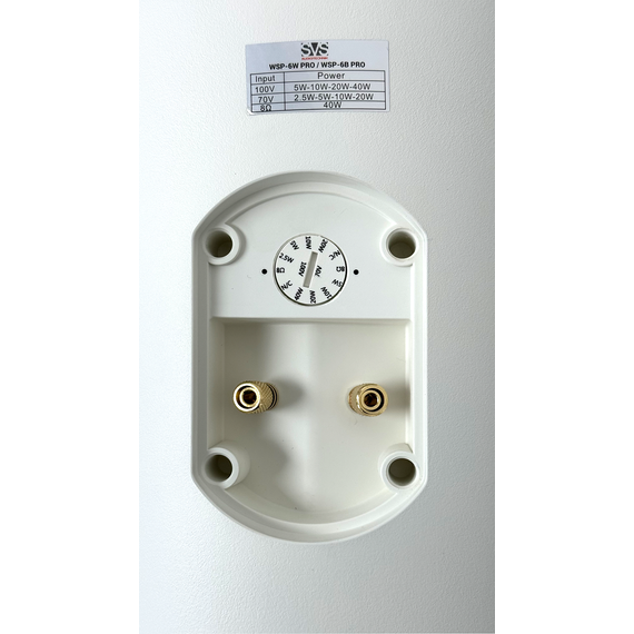 SVS Audiotechnik WSP-6W PRO Всепогодная трансляционная акустическая система IP65, изображение 5