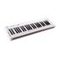 AXELVOX KEY49j white MIDI-клавиатура 4-октавная (49 клавиш) динамическая MIDI-клавиатура USB, 3 кнопки, джойстик (Pitch Bend и Modulation), 1 программируемый фейдер, вход Sustain педали, выключатель питания, питание от USB. Цвет белый.