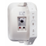 SVS Audiotechnik WSP-40 White Громкоговоритель настенный, динамик 4", драйвер 1", 40Вт (RMS), 8 Ом,Р, изображение 2