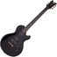 SCHECTER SGR SOLO II BLK Гитара электрическая шестиструнная. Крепление грифа: на 4-х болтах