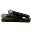 SHURE BLX288E/PG58 M17 двухканальная радиосистема с двумя ручными передатчиками PG58