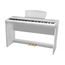 SAI PIANO P-9WH Цифровое пианино, 88 клавиш, молоточковая механика, 3 уровня чувствительности, 8+130 тембров, 64 голосая полифония, хорус, реверберация, MP3 плеер/рекордер, 4 демо, усилитель 2*14Вт