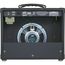 PEAVEY Rage 258E Усилитель гитарный комбо, 25 Вт, 8", два независимых канала, TransTube® preamp,