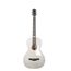 GODIN 047956 Rialto JR Satina Gray HG Q-Discrete Электро-акустическая гитара, с чехлом