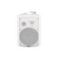 DS-503 Громкоговоритель настенный, 30Вт, TADS