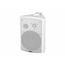 DS-503 Громкоговоритель настенный, 30Вт, TADS