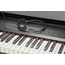 BECKER BSP-102B