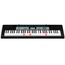 CASIO LK-136 синтезатор 61 клавиша, система обучения с подсветкой клавиш, полифония 32