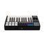 Panda-25C MIDI-контроллер, 25 клавиш, LAudio