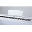 SAI PIANO P-65WH Пианино цифровое, 88 клавиш, молоточковая механика, 130 тембров, 100 стилей,  64 голосая полифония, хорус, реверберация, MP3 плеер/рекордер,  20 демо, усилитель 2*14Вт, стойка, три педали