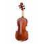 AW-V044-S Workshop Gems 1 Special Antique Скрипка 4/4, Gliga