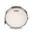 EVANS B13G1RD Power Center Reverse Dot Пластик для малого барабана 13''