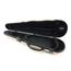 JAKOB WINTER JW-52017-4/4-SE Greenline Nature Кейс для скрипки размером 4/4