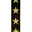 PLANET WAVES 20T05 Тканный ремень для гитары, рисунок «Gold Star»