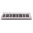 AXELVOX KEY49j white MIDI-клавиатура 4-октавная (49 клавиш) динамическая MIDI-клавиатура USB, 3 кнопки, джойстик (Pitch Bend и Modulation)