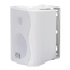 SVS Audiotechnik WS-20 White Громкоговоритель настенный, динамик 4", драйвер 0.5", 20Вт (RMS), трансформатор 10Вт-5Вт-2.5Вт-1.25Вт/100В, 8 Ом, 84 дБ, 90-18000 Гц, цвет белый, габариты: 172х150х217 мм