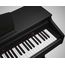 ARTESIA DP-10e Rosewood Цифровое фортепиано. 88 динамических молоточковых взвешенных клавиш