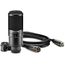 STEINBERG UR22 MKII Recording Pack Комплект для звукозаписи. 2-канальный звуковой USB-интерфейс UR22 mkII, полноразмерные динамические наушники ST-H01, конденсаторный микрофон ST-M01, ПО: Cubase AI