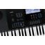 CASIO WK-6600 Синтезатор, 76 клавиш, изображение 2