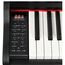 EMILY PIANO D-51 BK Цифровое фортепиано 88кл. со стойкой с тремя педалями в комплекте
