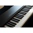 SAI PIANO P-9BK Цифровое пианино, 88 клавиш, молоточковая механика, 3 уровня чувствительности, 8 +13