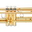 YAMAHA YTR-4335G II Труба Колено Bb. Две части, Золотая латунь, изображение 4