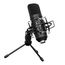 CASCHA HH-5050U Студийный USB конденсаторный микрофон