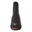 CORT AC100-WBAG-SG Classic Series Классическая гитара, с чехлом, глянцевая