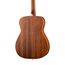 PARKWOOD PF51M-WBAG-OP Акустическая гитара с чехлом