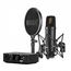 RODE NT1/AI1Kit студийный: конденсаторный микрофон NT1, AI-1 USB-интерфейс, антивибрационное креплен