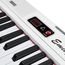 EMILY PIANO EK-7 WH Синтезатор Размер клавиш: Полный (фортепианного типа). Чувствительность к силе нажатия