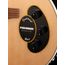 CORT Sunset-Nylectric-NAT Sunset Series Электрогитара, нейлоновые струны