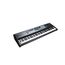 KURZWEIL SP7 LB Цифровое сценическое пианино 88кл,