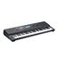 Kurzweil KP100 Синтезатор 61 клавиша,128-голосная полифония