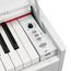 EMILY PIANO D-52 WH Цифровое фортепиано 88кл. со стойкой в комплекте
