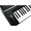 KURZWEIL KP200 LB Синтезатор с 61-клавишной чувствительной клавиатурой