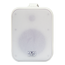 SVS Audiotechnik WSP-60 White Громкоговоритель настенный